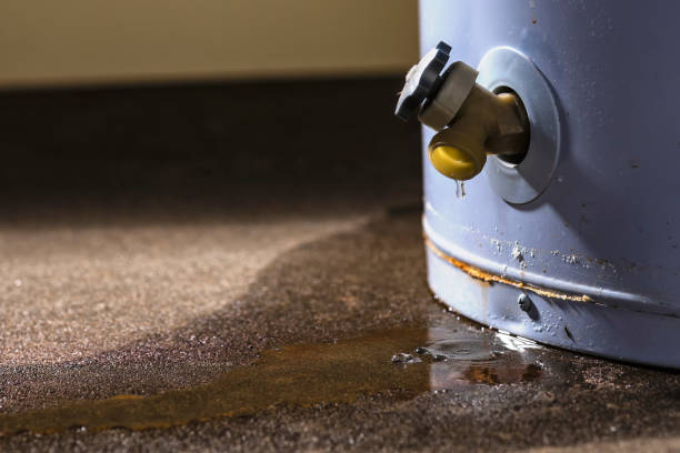 Best Sewage cleanup and water damage restoration  in Sharpes, FL