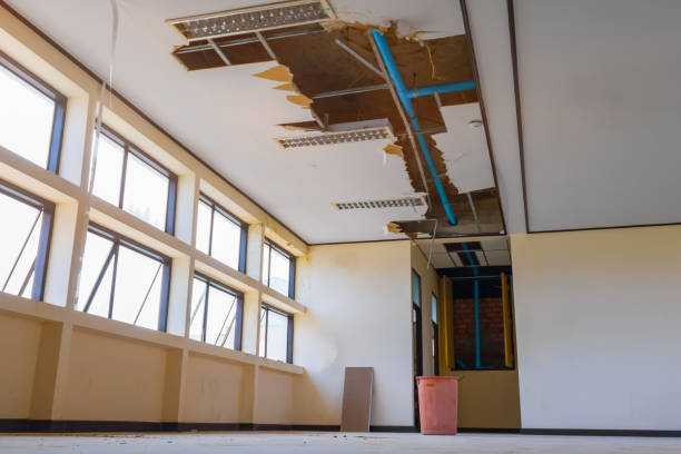 Best Mold removal after water damage  in Sharpes, FL