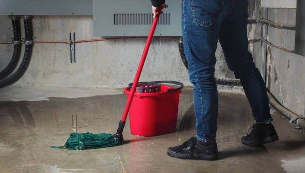 Best Water damage mitigation services  in Sharpes, FL