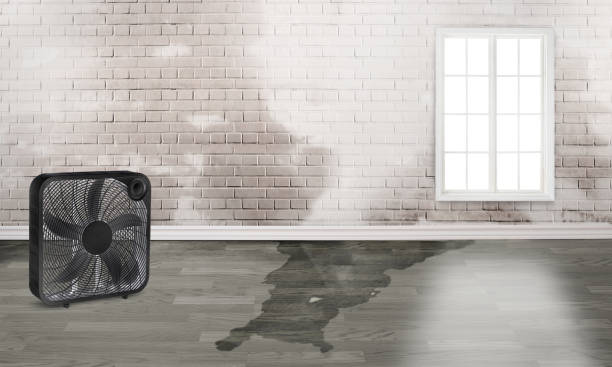 Best Fire Damage Restoration  in Sharpes, FL