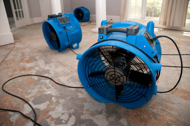 Best Residential water damage restoration  in Sharpes, FL