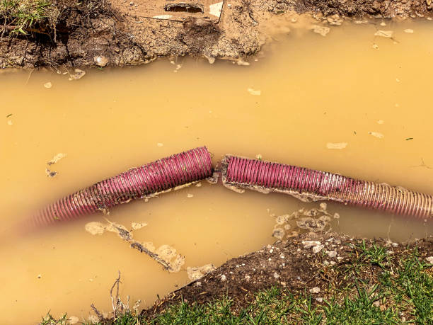 Best 24/7 water damage repair  in Sharpes, FL