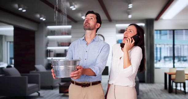 Best Flood restoration services  in Sharpes, FL